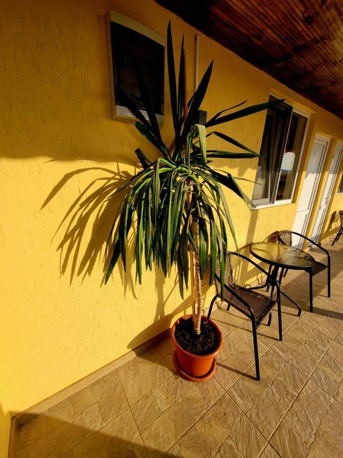Cabana Varad Coronini Moldova Veche Eksteriør billede